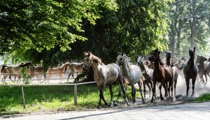 Fot. Karolina Bekker