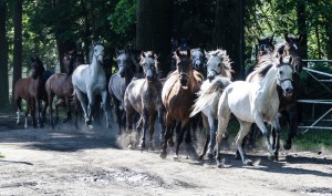 Fot. Karolina Bekker