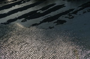 Fot. Karolina Bekker