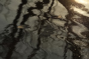 Fot. Katarzyna Kalinowska