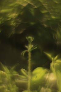 Fot. Katarzyna Kalinowska