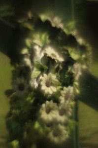 Fot. Katarzyna Kalinowska