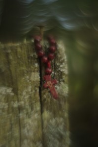 Fot. Katarzyna Kalinowska