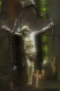 Fot. Katarzyna Kalinowska