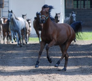 Fot. Magda Kaczmarzyk