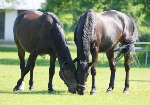 Fot. Magda Kaczmarzyk
