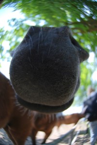 Fot. Magda Kaczmarzyk