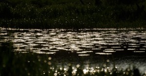 Fot. Małgosia Marczuk