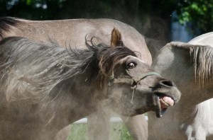 Fot. Małgosia Marczuk