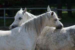 Fot. Małgosia Marczuk