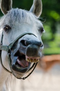 Fot. Małgosia Marczuk