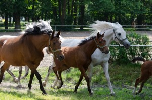 Fot. Małgosia Marczuk