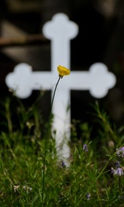 Fot. Małgosia Marczuk