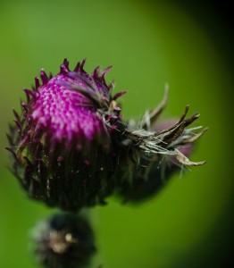 Fot. Małgosia Marczuk