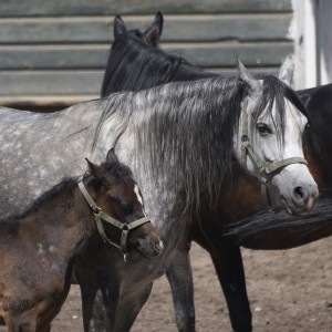 Fot. Renata Zwięglińska