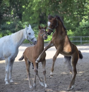 Fot. Renata Zwięglińska