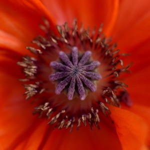 Fot. Renata Zwięglińska