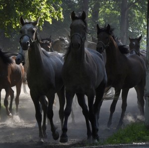 Fot. Renata Zwięglińska