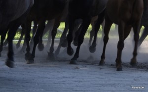Fot. Renata Zwięglińska