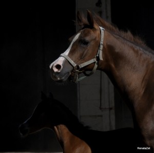 Fot. Renata Zwięglińska