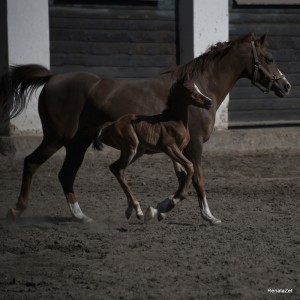 Fot. Renata Zwięglińska