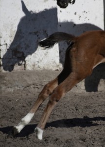 Fot. Renata Zwięglińska