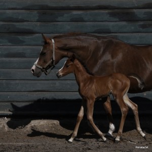 Fot. Renata Zwięglińska