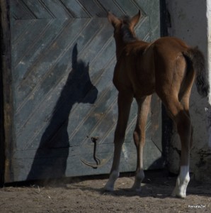 Fot. Renata Zwięglińska