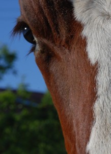 Fot. Magda Kaczmarzyk