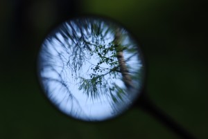 Fot. Magda Kaczmarzyk