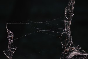 Fot. Magda Kaczmarzyk