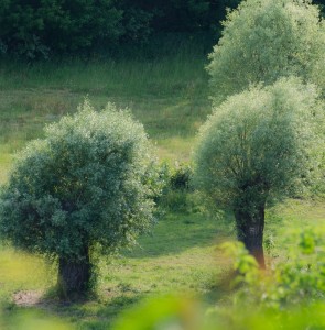 Fot. Małgosia Marczuk