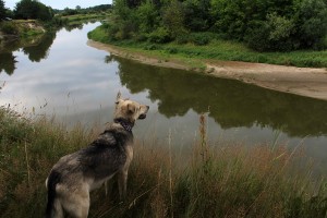 rzeka Bug okolice Zbereża