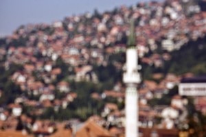 Fot. Beata Podwysocka