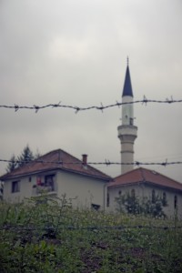 Fot. Beata Podwysocka