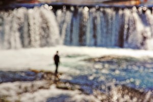 Fot. Beata Podwysocka