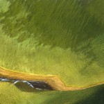 Fot. Beata Podwysocka