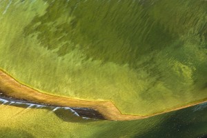 Fot. Beata Podwysocka