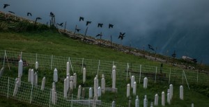 Bośnia, Lukomir, mizar