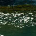 Fot. Katarzyna Kalinowska