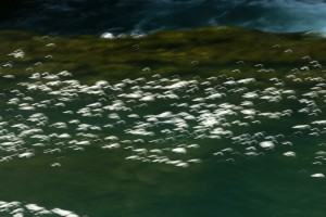 Fot. Katarzyna Kalinowska