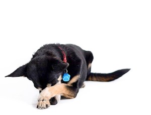 Fot. Joanna Kropielnicka