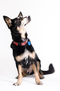 Fot. Joanna Kropielnicka