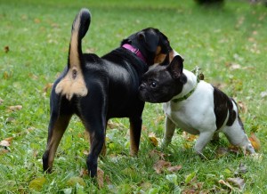 Fot. Joanna Kropielnicka