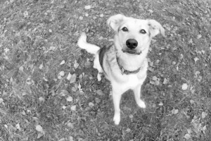 Fot. Joanna Kropielnicka