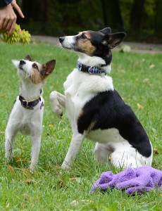 Fot. Joanna Kropielnicka