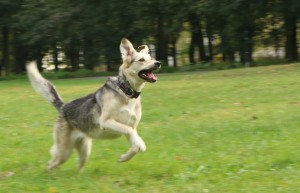 Fot. Beata Dziwulska