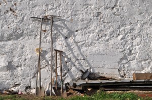 Fot. Jolanta Golinowska