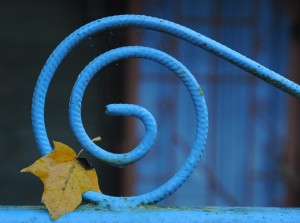 Fot. Jolanta Golinowska