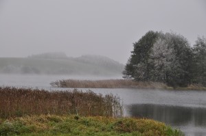 Fot. Jolanta Golinowska